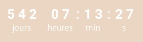 Écris seulement le nombre de jours qu'il reste à ton compteur ! - 1