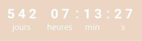 Écris seulement le nombre de jours qu'il reste à ton compteur ! - 1