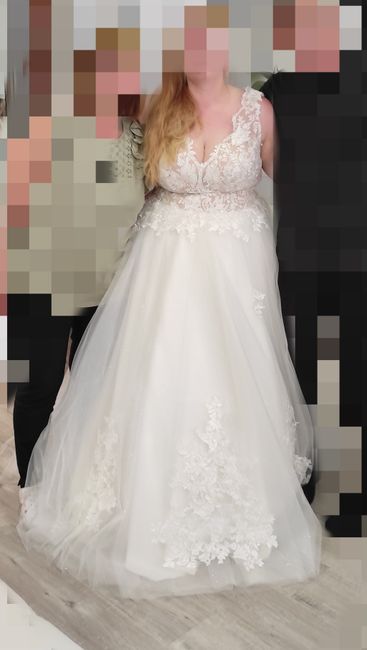 Doute sur la robe - 1