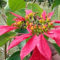 Notre voyage de noces - 1