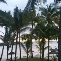 Notre voyage de noces - 5