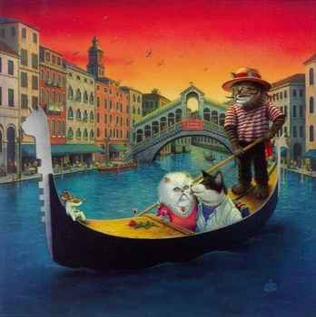Cats in Venezia!!!!