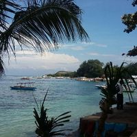 Lune de miel inoubliable ❤🌴 - 5