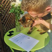 Mariage d'amour 💖 - 3