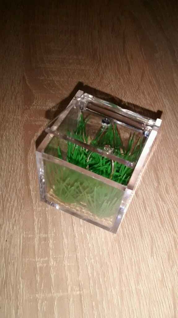 Dye porte alliance, quelle version ? - 4