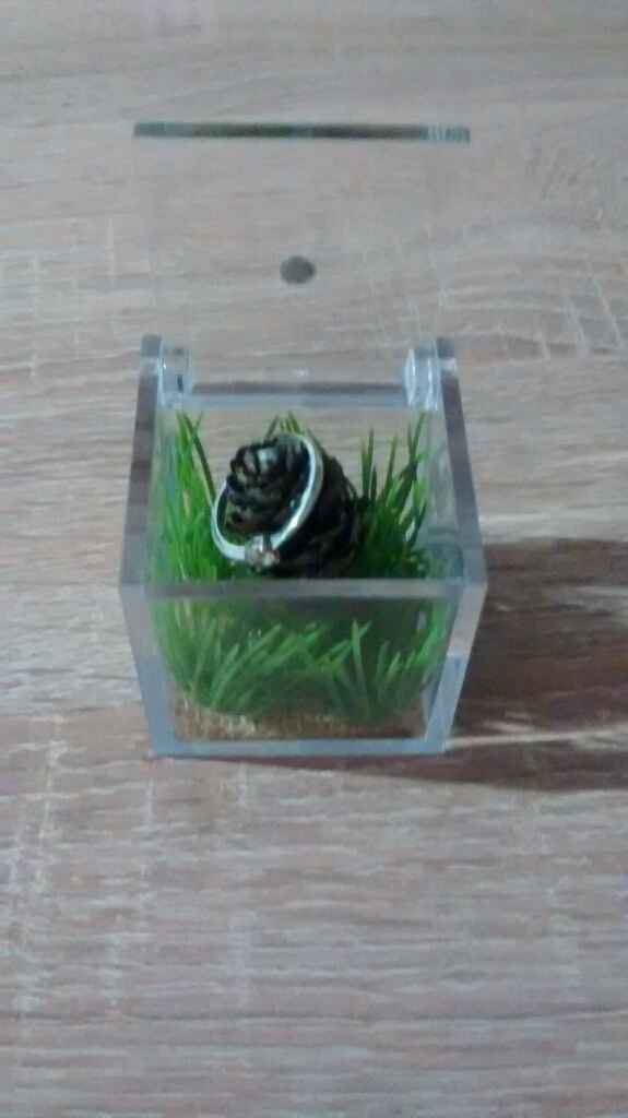 Diy porte alliance, quelle version ? - 1