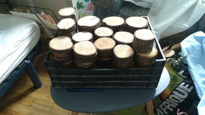 Avancement du jour ! - 1