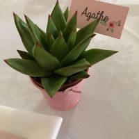 C’est demain 😍 - 5