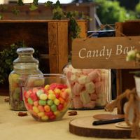 Nous nous marions le 30 Mai 2020 - Vendée - 3