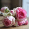 Nagham