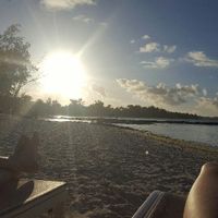 Un voyage de noce fructueux - 2