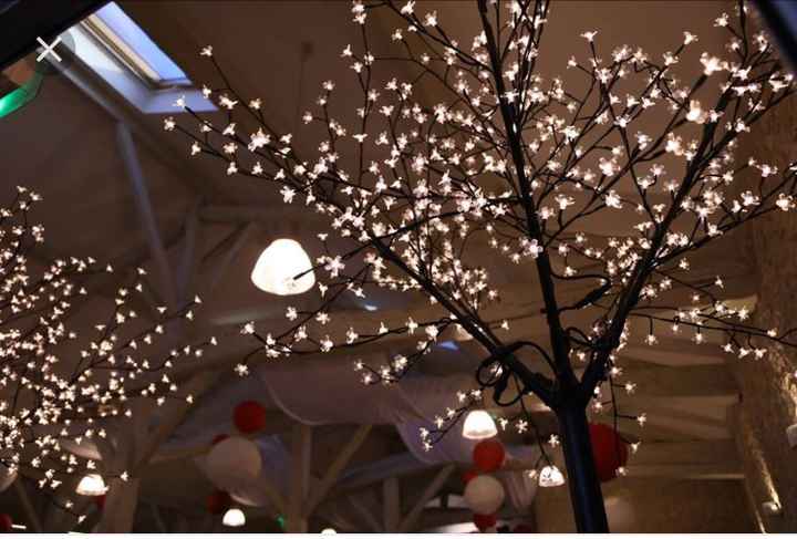 Decoration salle - 2