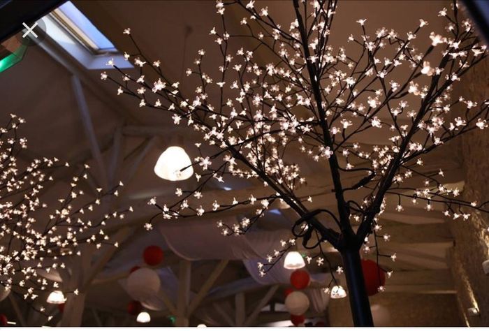 Decoration salle - 2