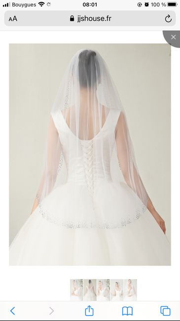 Voile pailleté - 2