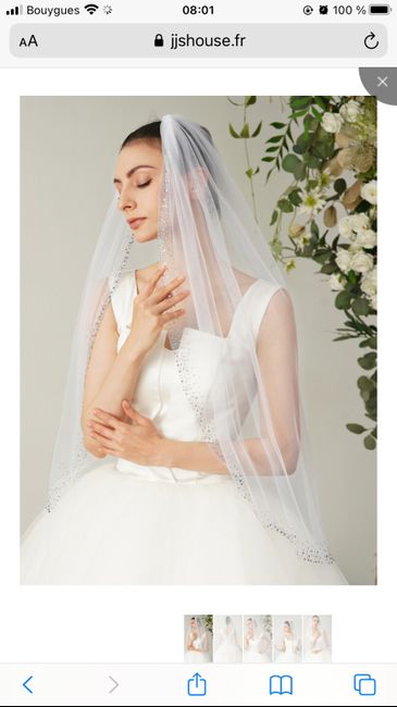 Voile pailleté 4