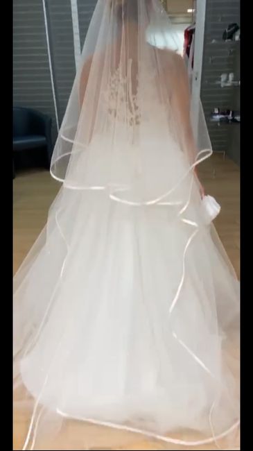 Voile pailleté 6