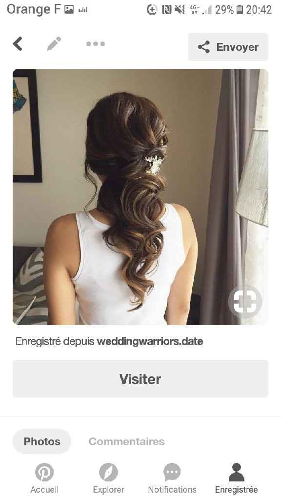 Coiffure thème belle et la bete - 1