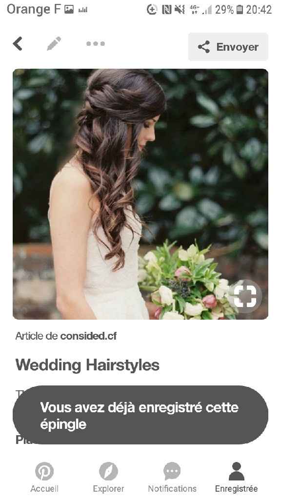 Coiffure thème belle et la bete - 2