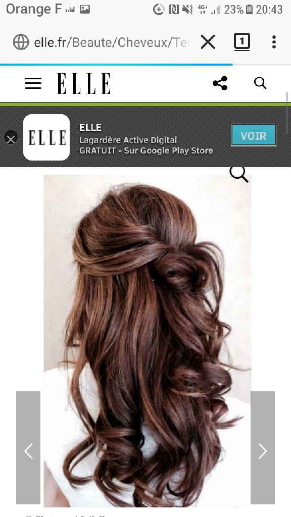 Coiffure thème belle et la bete - 5