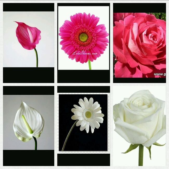 Notre plan de table - 3