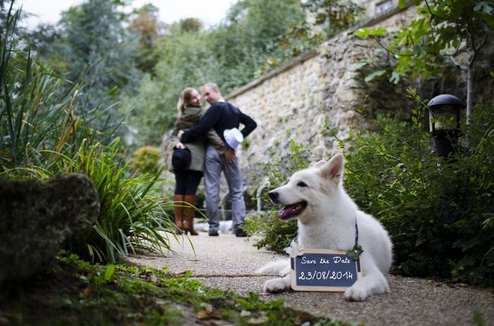 toutou en save the date