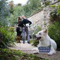 toutou en save the date