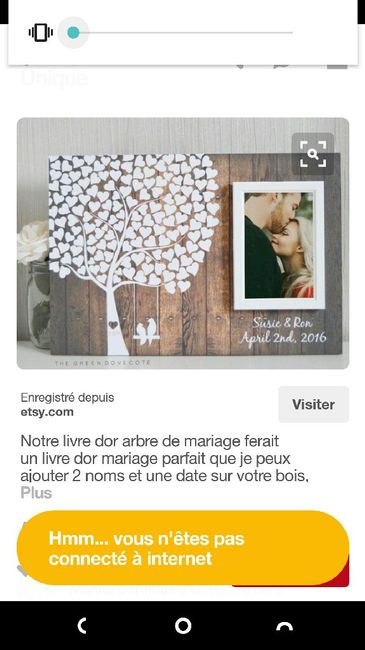 Livre d'or : oui, mais lequel ? - 1