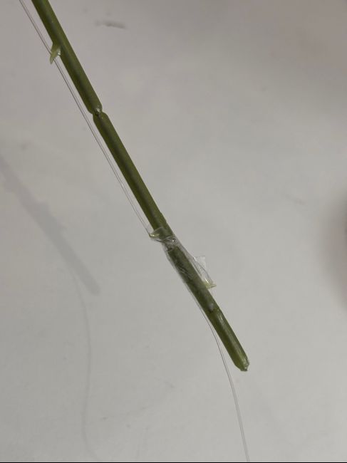 Tuto diy Fleurs suspendues 5