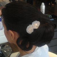 chignon