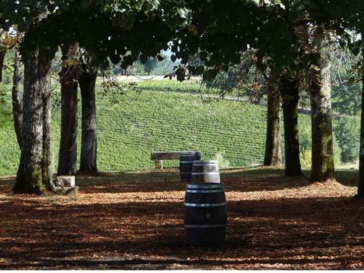  Besoin de vos avis ☺️☺️ - 3