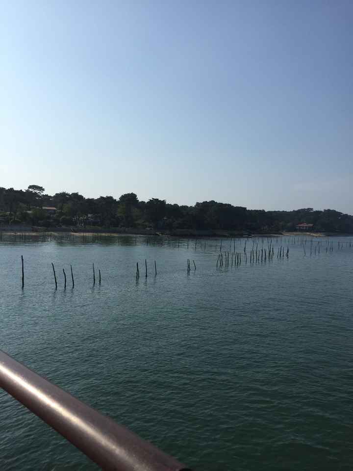 Petite pause mariage.... - 1