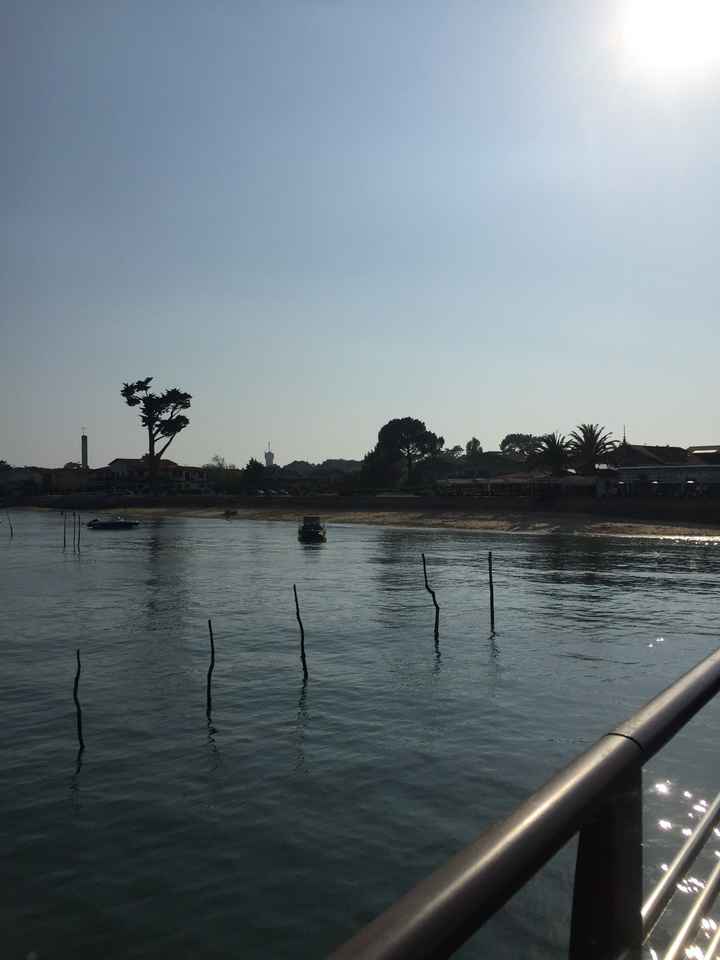 Petite pause mariage.... - 5