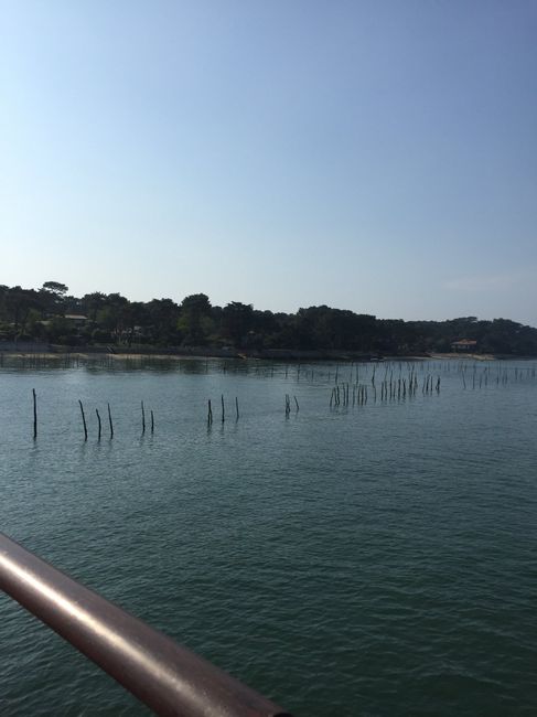 Petite pause mariage.... - 1