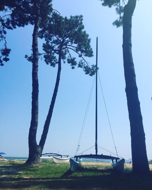 Petite pause mariage.... - 2