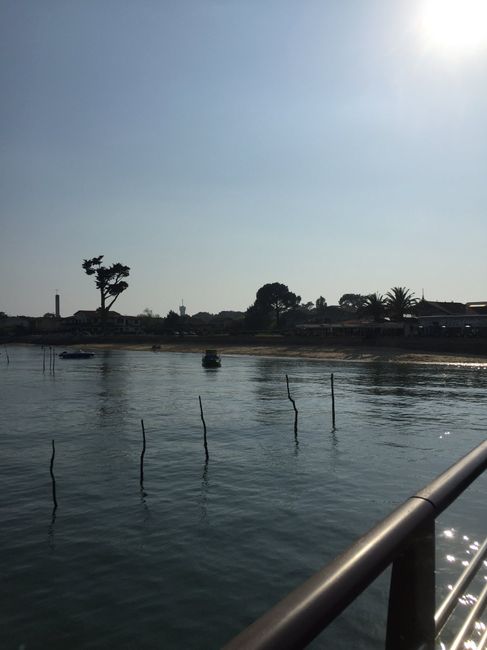 Petite pause mariage.... - 5