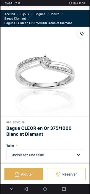 Cela vous choque t il si l'alliance est dans la catégorie 'bague de fiançailles' ou simplement 'bague'? 1