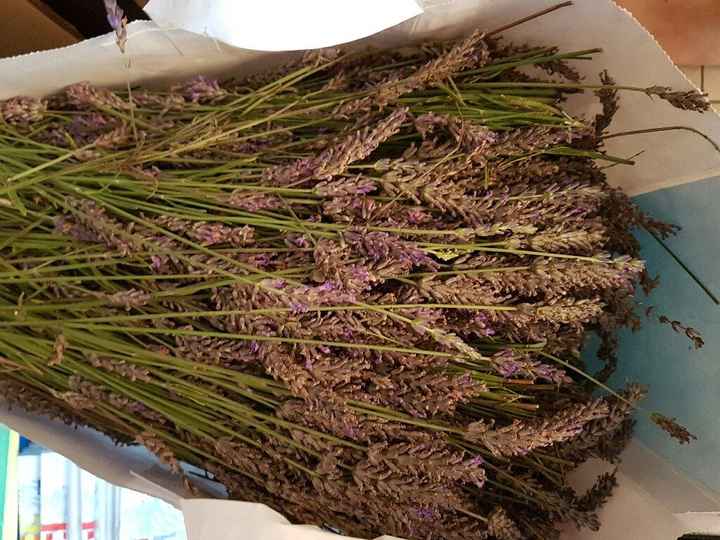 Parce que les belles mamans sont quand meme top! - 1