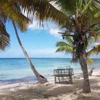 Retour voyage de noce - 1