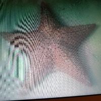 Retour voyage de noce - 3