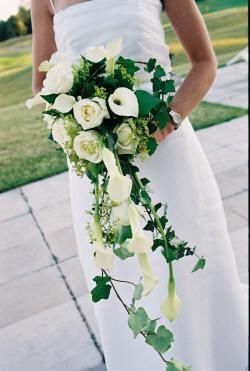 Bouquet qui me plairait