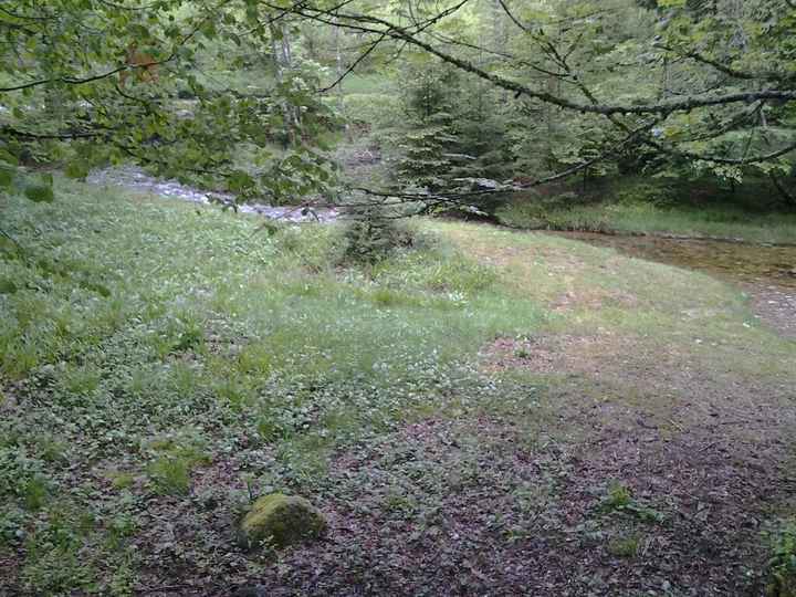 Recherche salle thème medieval bas rhin - 1