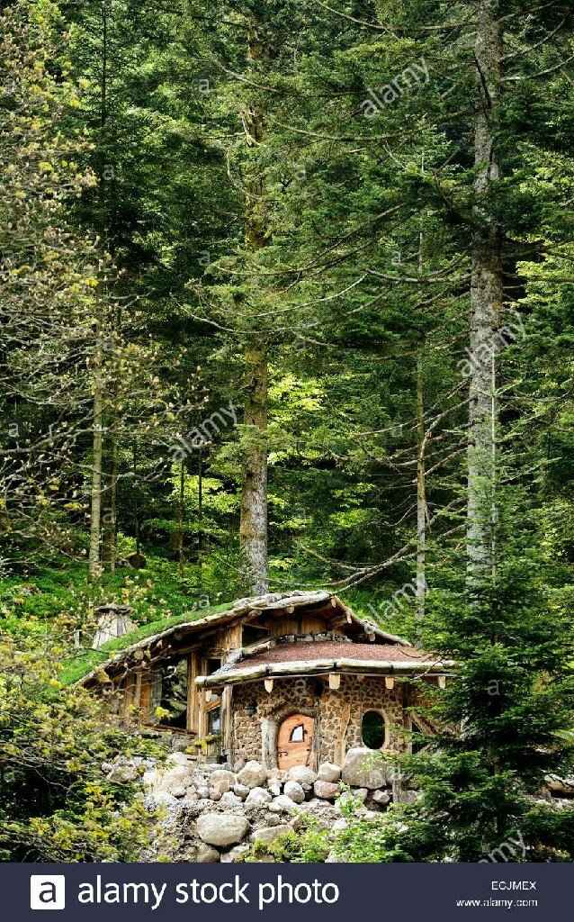 Nuit de noces chez les hobbit - 1