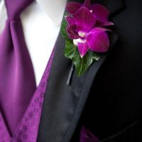 Thème orchidée fushia - 2