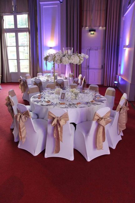 Notre mariage parfait - 8
