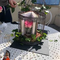 Décoration cage - 1