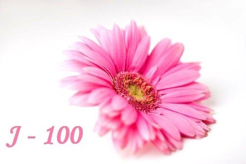 J-100 avant le grand jour