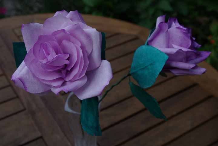 Rose en filtre à café
