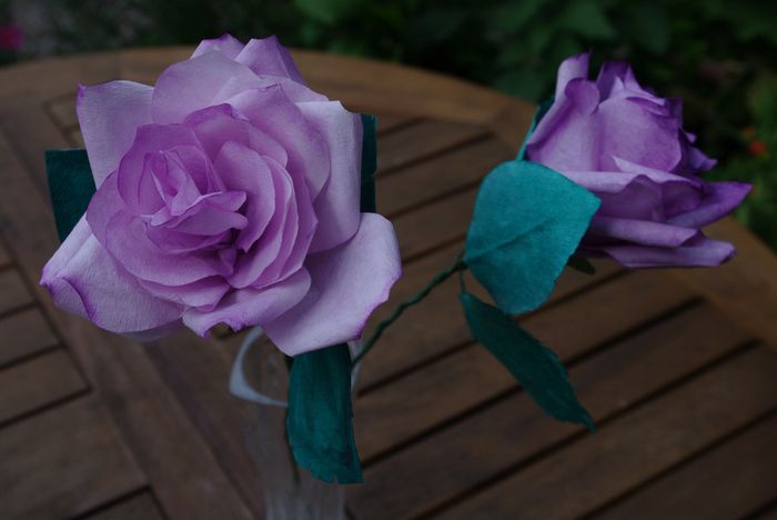 Rose en filtre à café