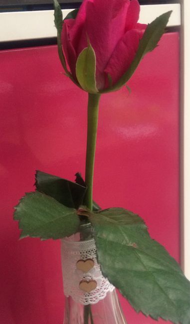  Voici mon petit diy - 3
