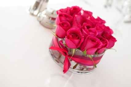 roses fushia
